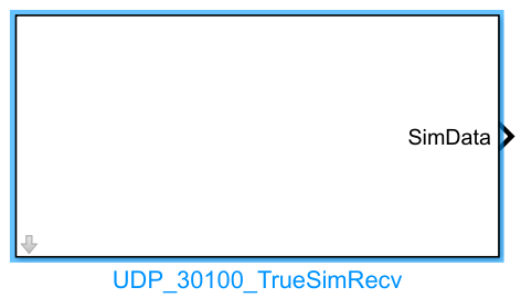 UDP_30100_TrueSimRecv 模块外观